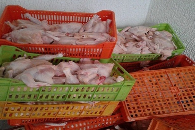 منوبة: حجز 2011 كلغ من الدجاج المذبوح في مخزنين عشوائيين