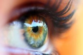 اختراع ثوري.. علماء ينتجون خلايا العين بطابعة ثلاثية الأبعاد