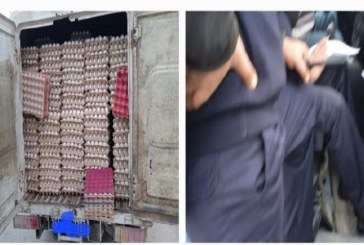 حجز 27 ألف بيضة معدة للاستهلاك تعمد صاحبها التزود بها باعتماد أساليب ملتوية