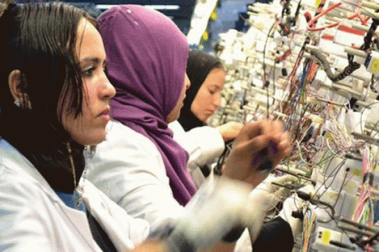 بمناسبة اليوم الوطني للاسرة: توزيع 5 اشعارات لبعث مشاريع لفائدة نساء في مدنين