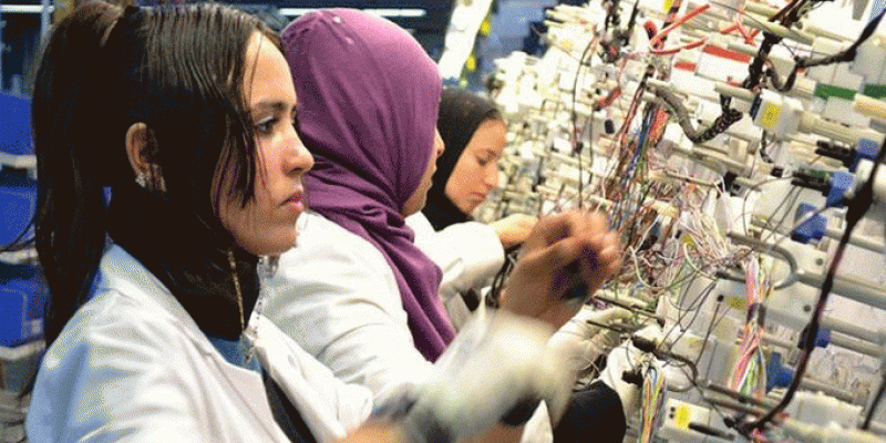 بمناسبة اليوم الوطني للاسرة: توزيع 5 اشعارات لبعث مشاريع لفائدة نساء في مدنين