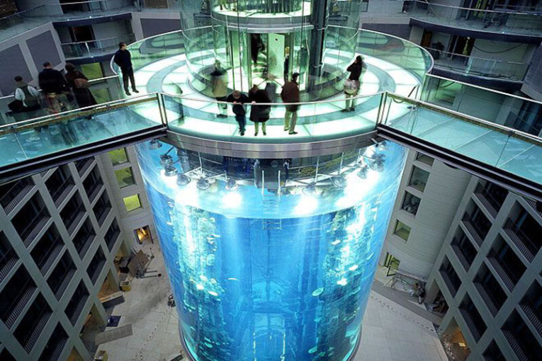 برلين: تحطّم حوض “أكوا دوم” العملاق يؤدي إلى نفوق معظم الأسماك التي كانت فيه