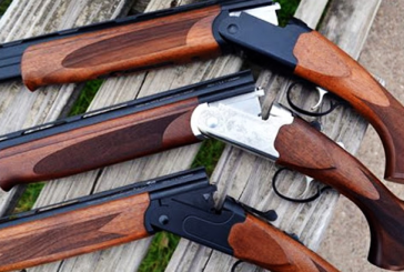 بنزرت: حجز 3 بنادق صيد دون رخصة