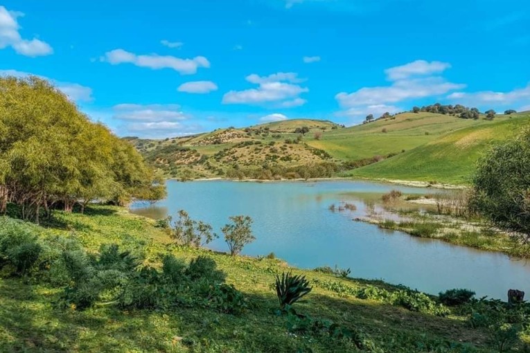 ضباب كثيف مع بدايات الصباح والحرارة في ارتفاع