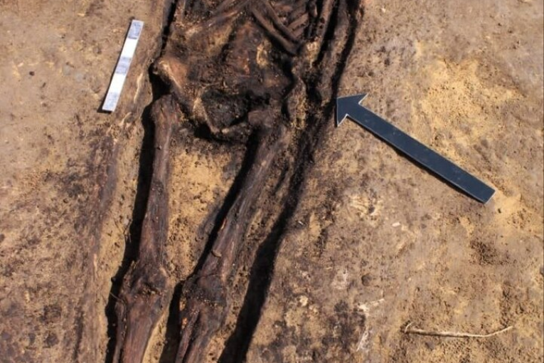 مصر تكتشف كنزا كبيرا في مدينة جديدة (صور)