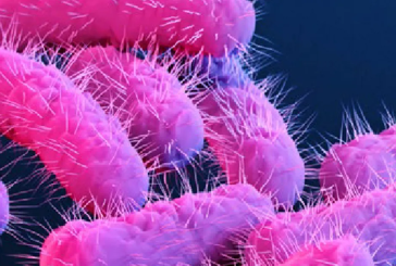 القصرين: تسجيل إصابة بجرثومة الـ”شيغيلا”