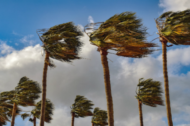 رياح قوية مع ارتفاع تدريجي في الحرارة