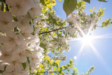 أجواء مشمسة والحرارة تصل إلى 27 درجة