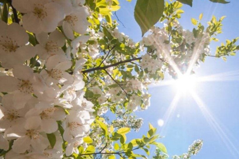 أجواء مشمسة والحرارة تصل إلى 27 درجة