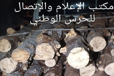 القصرين: ايقاف شخصين قاما بقطع 30 شجرة من الصنوبر الحلبي دون رخصة