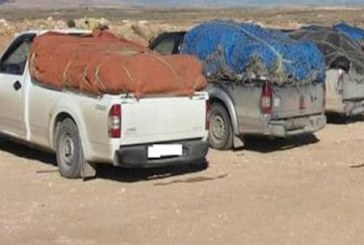 مدنين: حجز بضائع مهربة بقيمة 400 ألف دينار