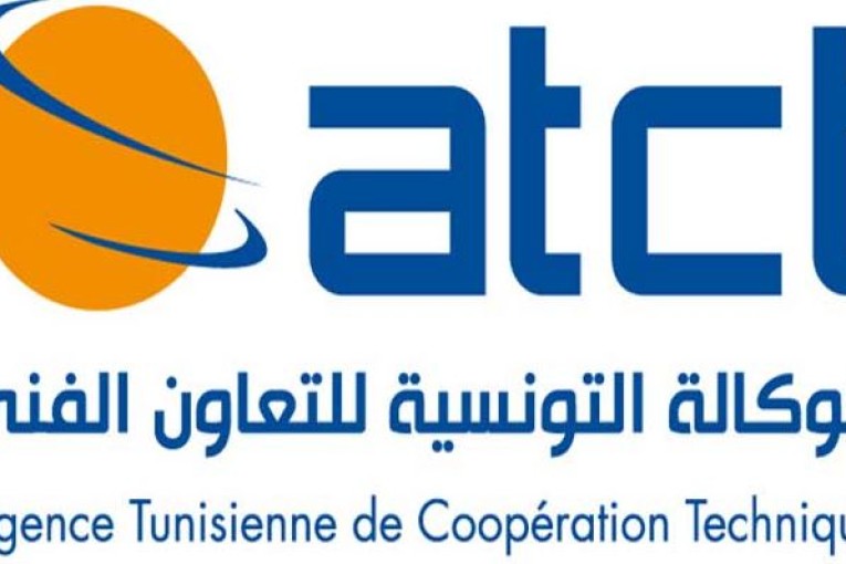 من جانفي إلى نوفمبر 2022: ارتفاع عدد المنتدبين في إطار التعاون الفني بـ46%