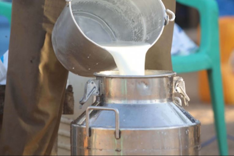 غرفة مراكز تجميع الحليب تدعو رئيس الجمهورية إلى عقد جلسة على أعلى مستوى لإنقاذ المنظومة من الإنهيار