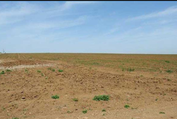 زغوان : إسترجاع  1080 هك من الأراضي الدولية