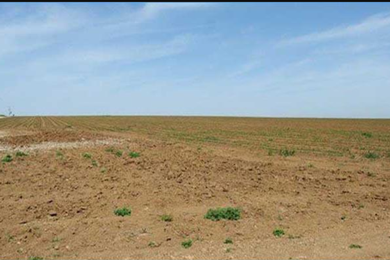 زغوان : إسترجاع  1080 هك من الأراضي الدولية