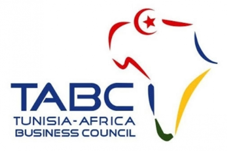 مجلس الاعمال التونسي الافريقي يدعو الى التسريع بإصدار قانون الصرف الجديد أو إصدار مرسوم للتعامل بالعملة الصعبة
