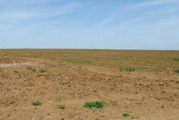 سليانة: إسترجاع 03 مقاسم فلاحية بمساحة 38 هك