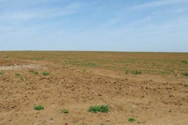 سليانة: إسترجاع 03 مقاسم فلاحية بمساحة 38 هك