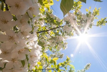 طقس معتدل مع ارتفاع طفيف في درجات الحرارة