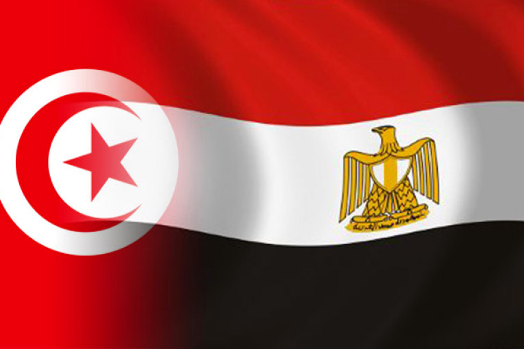 تونس في طليعة الدول العربية غير الخليجية المستثمرة في مصر