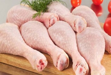 تركيز نقاط بيع للحوم البيضاء بأسعار معقولة بدعوة من رئيسة الحكومة