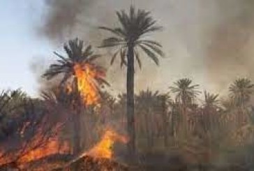 توزر: حريق يأتي على منزل بنفطة