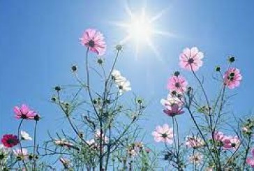 طقس مغيم مع ارتفاع طفيف في الحرارة