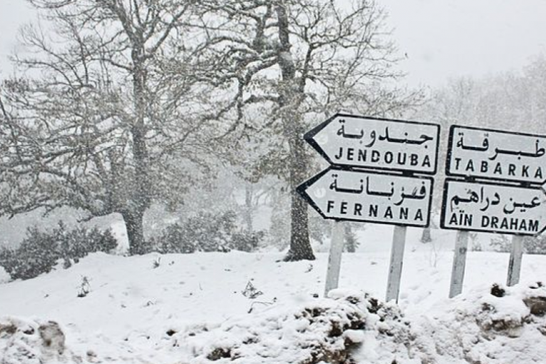 تزامنا مع تهاطل الثلوج: الآلاف يتوافدون على مُرتفعات جندوبة ونسبة امتلاء الوحدات السياحيّة تفوق الـ100%