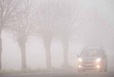 ضباب محلي وأمطار متفرقة بهذه الجهات…