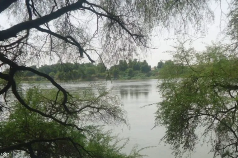 700 قرية تحمل اسمها.. سر ارتباط السودانيين بـ “الشجرة”