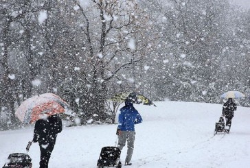 اليوم: طقس بارد مع ثلوج وأمطار رعدية