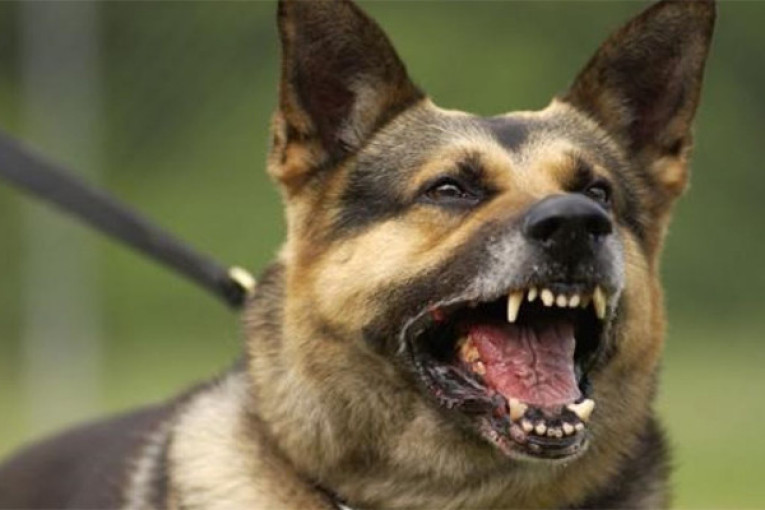 كانت مصحوبة بالكلاب.. اخلاء وتفتيش مركزي اقتراع من قبل وحدات أمنية بالقيروان