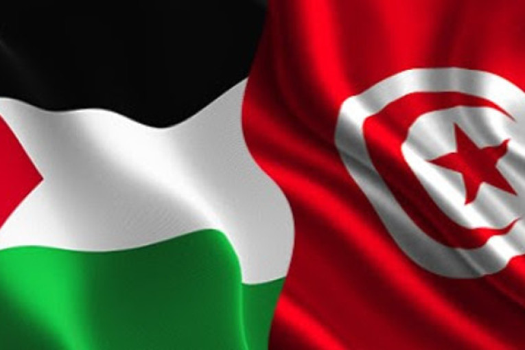 تونس تدعو المجتمع الدولي إلى حماية الشعب الفلسطيني
