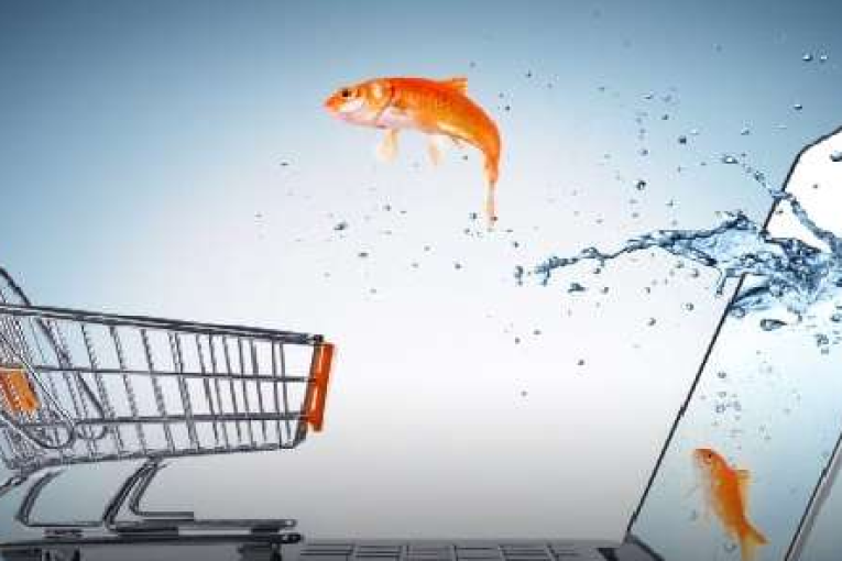 مركز التكوين ودعم التجارة الالكترونية بتونس ينطلق رسميا في النشاط