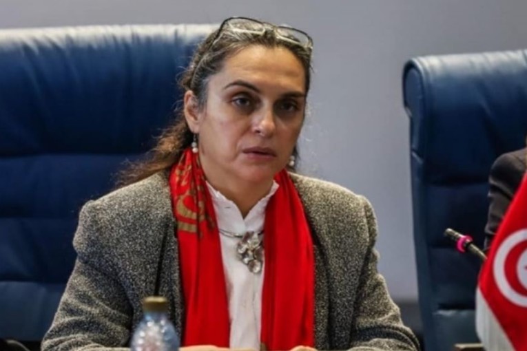 وزيرة البيئة: تونس من بين الدول الأكثر هشاشة لتأثيرات التغيّرات المناخية