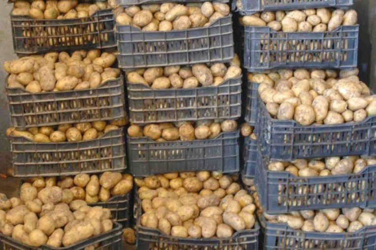 نابل: حجز 30،2 طنا من البطاطا بذور في مستودع غير مصرح به