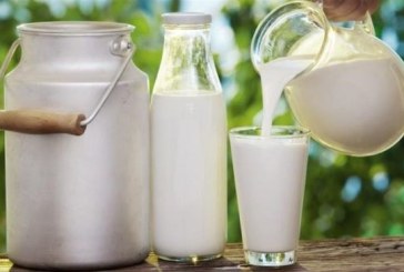 منظمة إرشاد المستهلك تدعو إلى مقاطعة شراء الياغرت إلى حين توفر الحليب نصف دسم