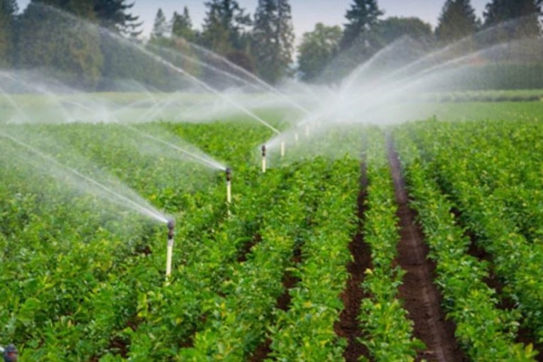 بسبب تراجع مخزون السدود: مندوبيّة الفلاحة بجندوبة تدعو الفلاحين الى عدم برمجة زراعات سقوية جديدة