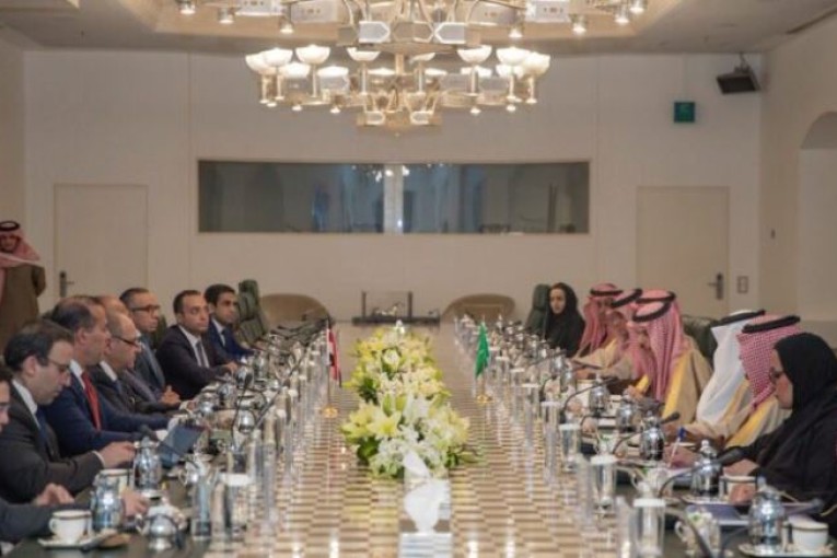 بيان سعودي مصري يشدد على أهمية العمل العربي لمواجهة الأزمات