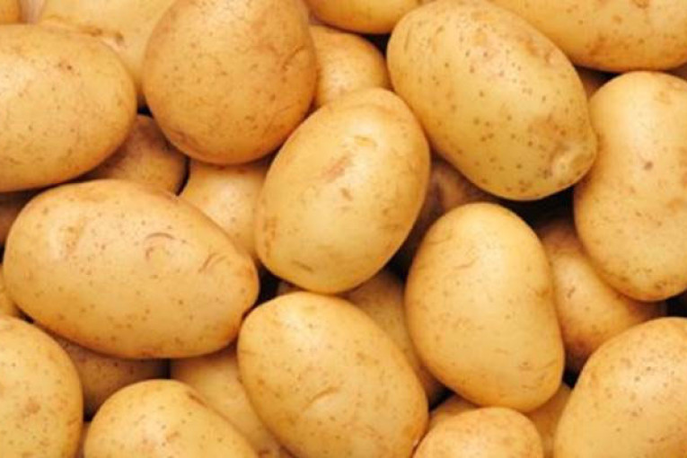 نابل: مداهمة مخزن عشوائي وحجز 30 طن من مادة البطاطا