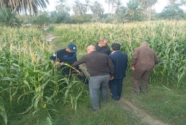 قفصة: مقاضاة فلاحين بمنطقة لالة حوّلوا مجرى مياه الصرف الصحي لري الزياتين