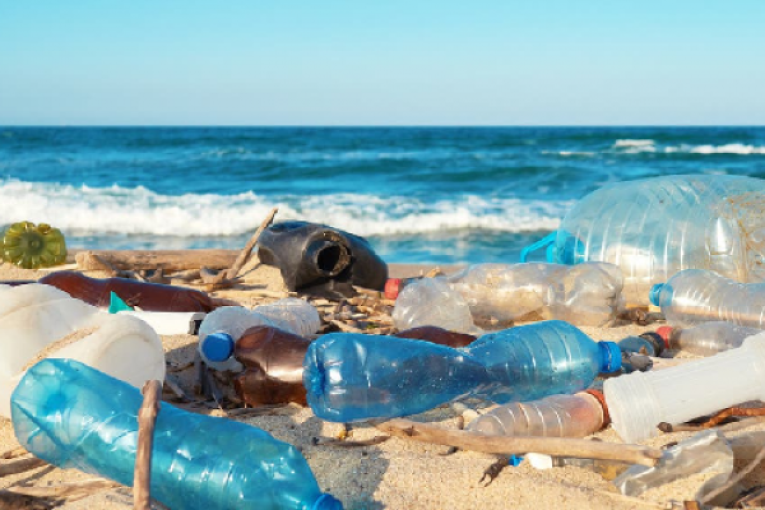 البلاستيك يمثل 80% من النفايات البحرية في الوسط البحري والسواحل في كل من تونس وإيطاليا ولبنان