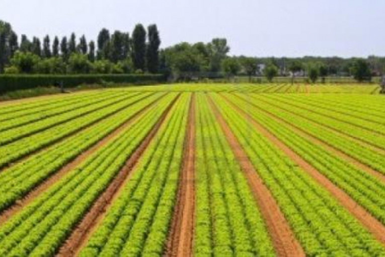 جندوبة: تأسيس شركة أهلية تختصّ بالأنشطة الفلاحية