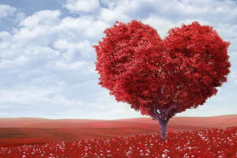 في عيد الحب .. اعرف فوائد الحب لجسمك