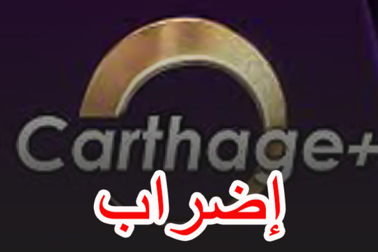 أبناء قناة قرطاج + يطالبون بصرف أجورهم ويدعون رئيس الجمهورية للتدخل لفائدتهم
