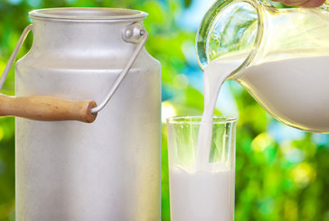 إنتاج الحليب حاليا في مرحلة الذروة السنوية والأسواق لن تشهد نقصا خلال شهر رمضان