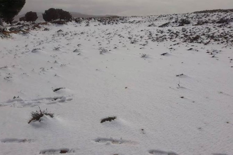 قفصة : تساقط الثلوج بالمرتفعات