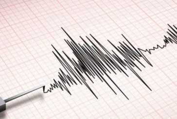 كاهية مدير الجيوفيزياء: الزلازل في تونس قوتها ضعيفة ولا تخلف ضحايا