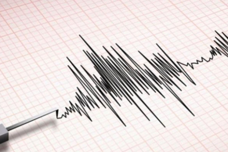 كاهية مدير الجيوفيزياء: الزلازل في تونس قوتها ضعيفة ولا تخلف ضحايا