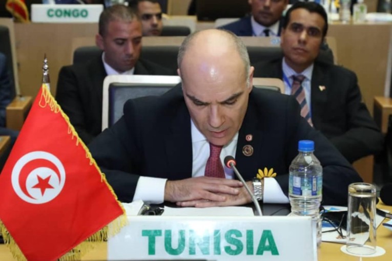 وزير الخارجية يدعو إلى تمكين الدول النامية من حرية رسم سياساتها الوطنية